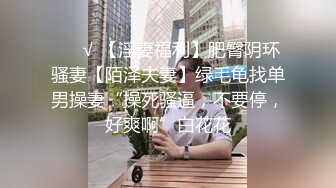 商丘操肿的人妻少妇2