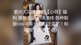 骚妻来大姨妈吃大鸡吧！！微露脸