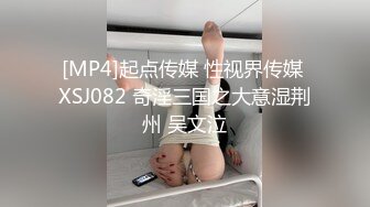 [2DF2] 骚气诱惑打游戏的男朋友 口硬了坐上去自己动表情很淫荡 [MP4/105MB][BT种子]