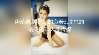 伊琬琳.美少妇的哀羞3.沈总的贴身秘书.天美传媒