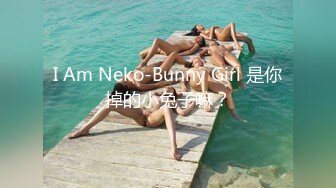 I Am Neko-Bunny Girl 是你掉的小兔子嘛？