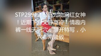 STP29912 极品尤物网红女神！近期下海文静高冷！情趣内裤一线天肥穴，掰开特写，小穴非常紧致