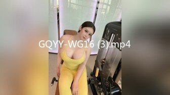 GQYY-WG16 (3).mp4