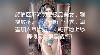 网红少女小金鱼 T3级《苍梧谣》主题福利包原档