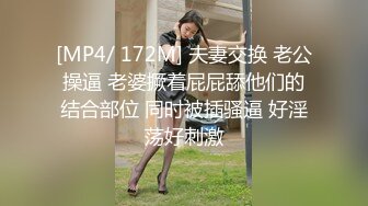 大像传媒之輕熟女的誘惑-莉娜LENA