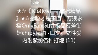 ★☆《顶级网红☀️重磅精品》★☆露脸才是王道！万狼求档OnlyFans知性极品反差御姐chipy私拍~口交肛交性爱内射紫薇各种打炮 (11)