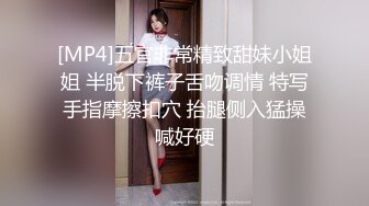 [MP4]大海浪探花腿上纹身花裙少妇 调情口交舔屌 上位骑乘扶着小腰猛操