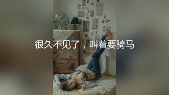 某公司美女会计MJ