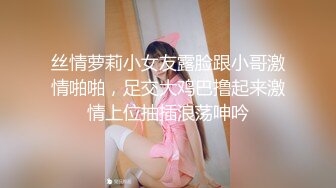 【JVID传媒】淫贼王呆萌美乳小可爱阿宅穿越海贼王异世界