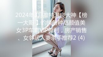 2024年3月推特泡良大神【榜一大哥 】约操各种高颜值美女3P车震VIP福利，房产销售、女邻居人妻杀手推荐2 (4)