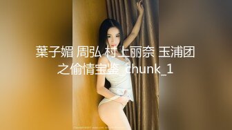 葉子媚 周弘 村上丽奈 玉浦团之偷情宝鉴_chunk_1