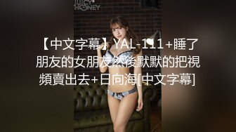 【中文字幕】YAL-111+睡了朋友的女朋友然後默默的把視頻賣出去+日向海[中文字幕]