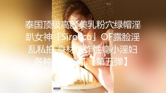 《百度云泄密》被闺蜜曝光的美女空姐下班后的淫乱私生活 (5)