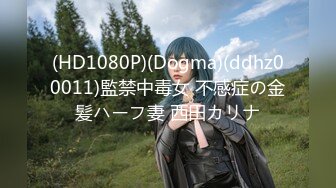 (HD1080P)(Dogma)(ddhz00011)監禁中毒女 不感症の金髪ハーフ妻 西田カリナ