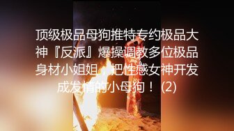 某房流出【商场女厕全景后拍】少妇 小姐姐 拉屎撒尿合集【296V】 (230)