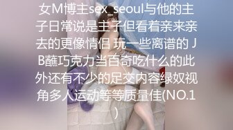 MD-0265 莫夕慈 女销售的车震推销 为求业绩主动献身 麻豆传媒映画