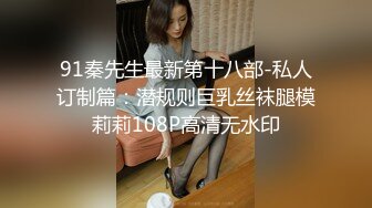 91秦先生最新第十八部-私人订制篇：潜规则巨乳丝袜腿模莉莉108P高清无水印