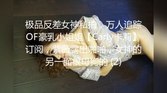 ✿性感女仆✿ 盲盒惊喜之主人的专属猫咪▌宸荨樱桃▌