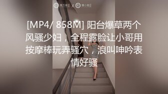 偷情的小婊子