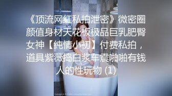 《顶流网红私拍泄密》微密圈颜值身材天花板极品巨乳肥臀女神【纯情小初】付费私拍，道具紫薇捣白浆车震啪啪有钱人的性玩物 (1)