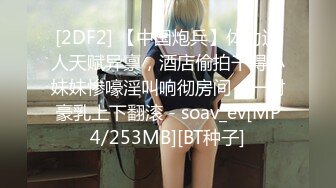 [2DF2] 【中国炮兵】体力过人天赋异禀，酒店偷拍干得小妹妹惨嚎淫叫响彻房间，一对豪乳上下翻滚 - soav_ev[MP4/253MB][BT种子]