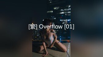 [繁] Overflow [01]