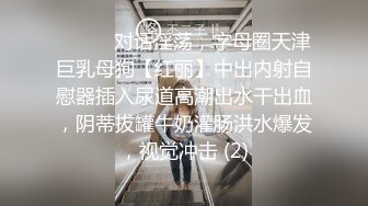 ⚫️⚫️对话淫荡，字母圈天津巨乳母狗【红丽】中出内射自慰器插入尿道高潮出水干出血，阴蒂拔罐牛奶灌肠洪水爆发，视觉冲击 (2)