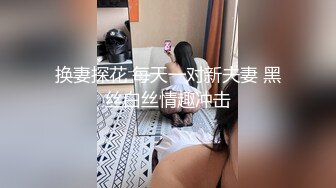 换妻探花 每天一对新夫妻 黑丝白丝情趣冲击