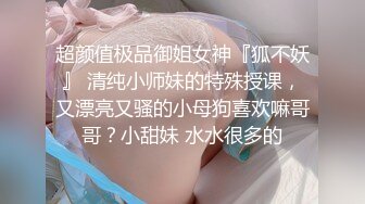 【小鸟酱专题】美乳女神小鸟酱之黑色束缚衣黑振动棒自慰.mp4