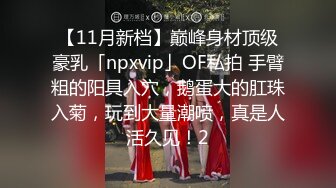 【11月新档】巅峰身材顶级豪乳「npxvip」OF私拍 手臂粗的阳具入穴，鹅蛋大的肛珠入菊，玩到大量潮喷，真是人活久见！2