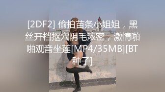 [2DF2] 偷拍苗条小姐姐，黑丝开档抠穴阴毛浓密，激情啪啪观音坐莲[MP4/35MB][BT种子]