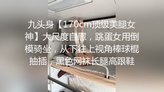 九头身【170cm顶级美腿女神】大尺度自慰，跳蛋女用倒模骑坐，从下往上视角棒球棍抽插，黑色网袜长腿高跟鞋