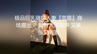 极品巨乳骚婊人妻『茵茵』商场露出 听到有人走路声 又紧张又刺激