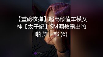 【重磅核弹】超高颜值车模女神【太子妃】SM调教露出啪啪 第一部 (6)