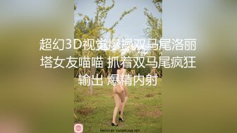 超幻3D视觉爆操双马尾洛丽塔女友喵喵 抓着双马尾疯狂输出 爆精内射