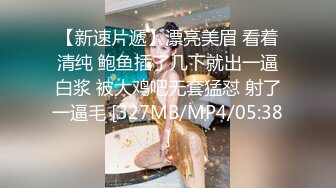 国产麻豆AV MSD MSD071 少爷的乖女仆 袁子仪