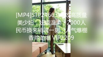 [MP4]STP24603 专攻高质量美少妇，妩媚温柔，2000人民币换来销魂一刻，人气爆棚香艳劲爆 VIP2209