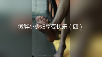 微胖小少妇享受快乐（四）