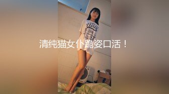 清纯猫女仆跪姿口活！