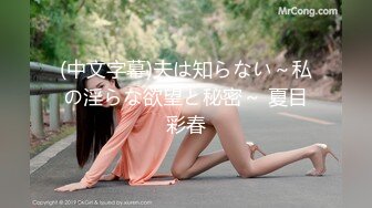 (中文字幕)夫は知らない～私の淫らな欲望と秘密～ 夏目彩春