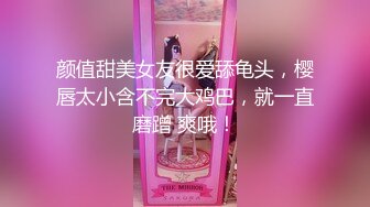 《最新泄密✿反差尤物》推特极品网红巨乳女神【九儿温柔妹妹】定制私拍，人来人往公路上透明情趣露出放尿无水原版