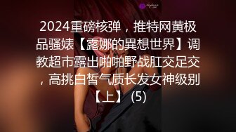 2024重磅核弹，推特网黄极品骚婊【露娜的異想世界】调教超市露出啪啪野战肛交足交，高挑白皙气质长发女神级别【上】 (5)