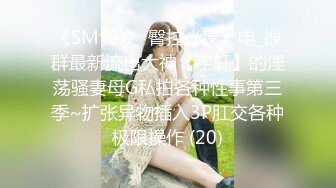 《SM调教✅臀控必享》电_报群最新流出大神【宇轩】的淫荡骚妻母G私拍各种性事第三季~扩张异物插入3P肛交各种极限操作 (20)