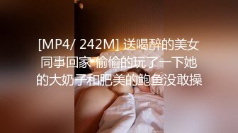 [MP4/ 242M] 送喝醉的美女同事回家 偷偷的玩了一下她的大奶子和肥美的鲍鱼没敢操