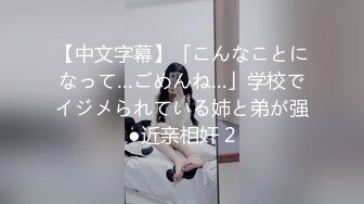 [315ETQR-165]【妄想主観】なんでもいいなり従順巨乳メイド 排卵日子作り中出しご奉仕 永澤ゆきの