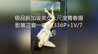 极品新加坡美女大尺度青春摄影第三套一视频[336P+1V/775M]