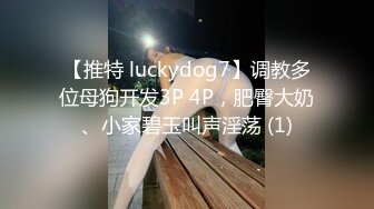 【推特 luckydog7】调教多位母狗开发3P 4P，肥臀大奶、小家碧玉叫声淫荡 (1)