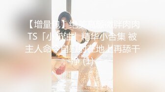 【增量包】绝美高颜微胖肉肉TS「小奶油」精华小合集 被主人命令自慰射在地上再舔干净 (1)