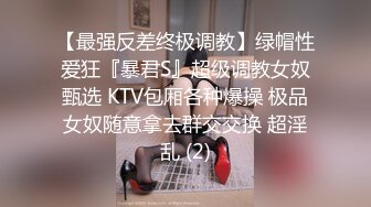 【最强反差终极调教】绿帽性爱狂『暴君S』超级调教女奴甄选 KTV包厢各种爆操 极品女奴随意拿去群交交换 超淫乱 (2)