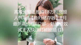 另类叛逆女孩极品泄密，推特43万粉满身纹刺青露脸网红【阿璃】订阅福利，人瘦奶挺与炮友各种啪啪不健康自拍 (24)